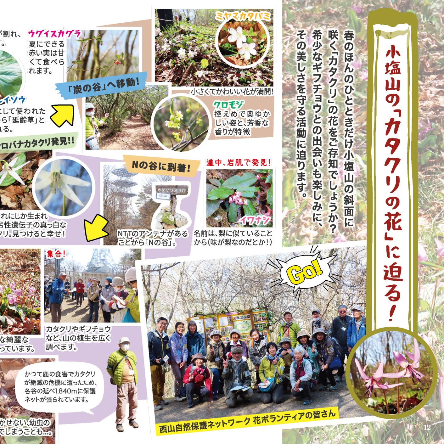 P.12-13 小塩山の「カタクリの花」に迫る!のイメージ